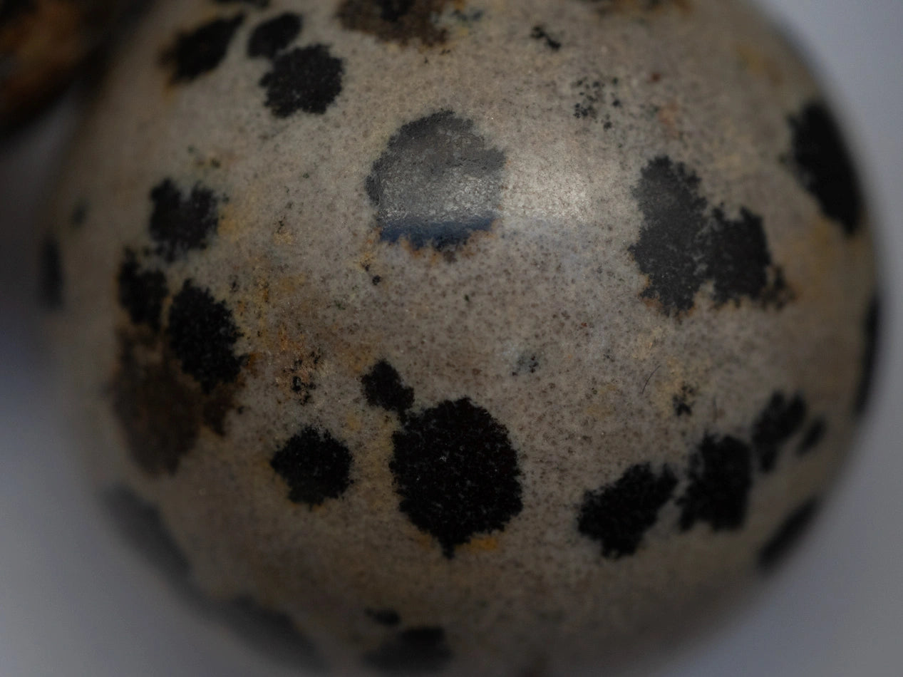 Spheres Bracelet Jaspe Dalmata