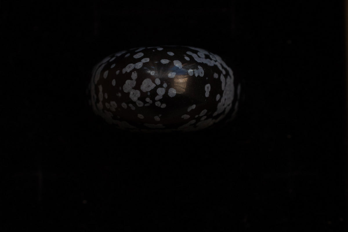 Snowflake Obsidian Donut Ring