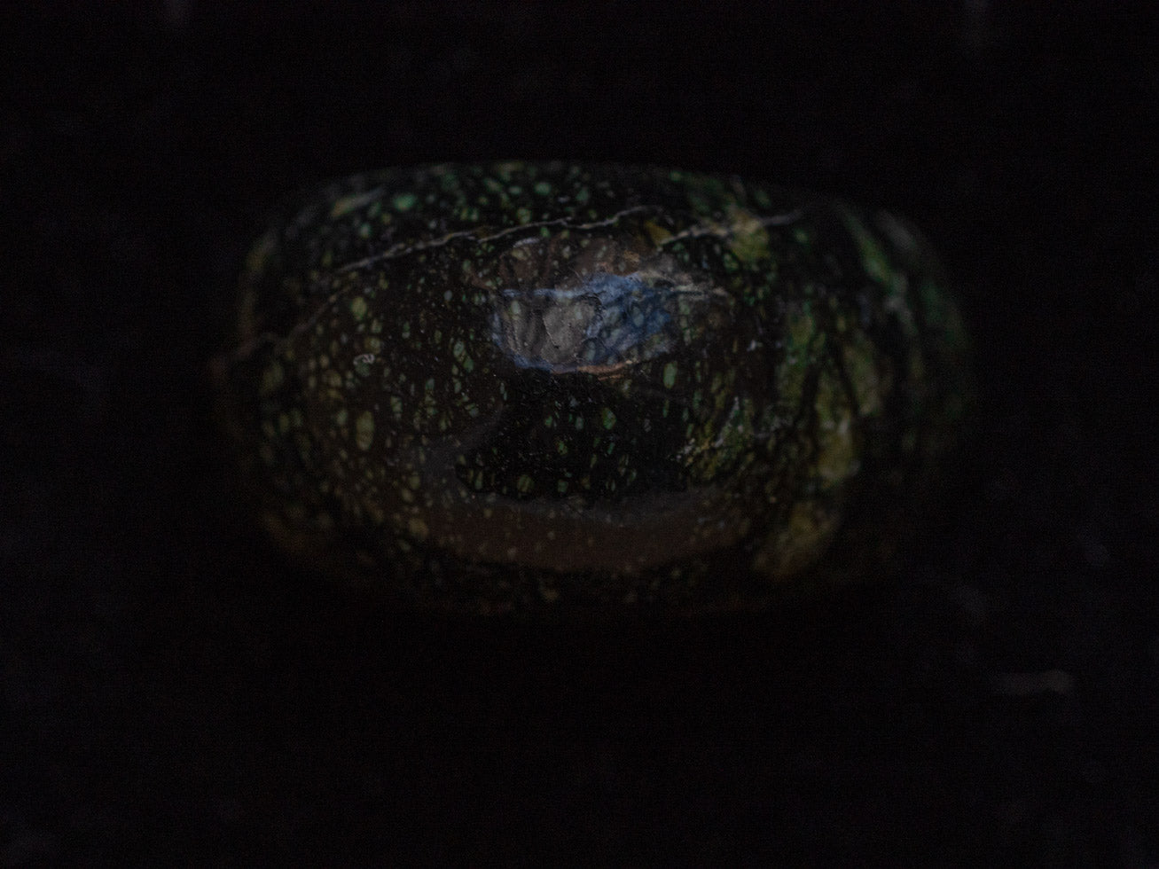 Anillo Donut de Serpentina